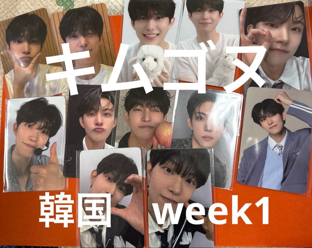 ボイプラ2 韓国アーカイブ展ポップアップ 1週目トレカ コンプ ゴヌ キムゴヌ