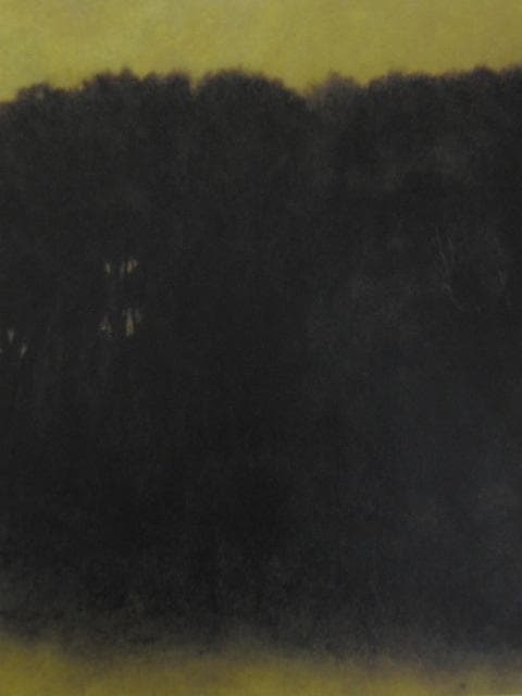 鈴木竹柏、【燦燦】、希少な額装用画集より、新品額装付 - メルカリ