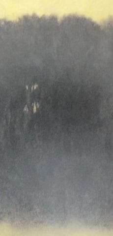 鈴木竹柏、【燦燦】、希少な額装用画集より、新品額装付 - メルカリ