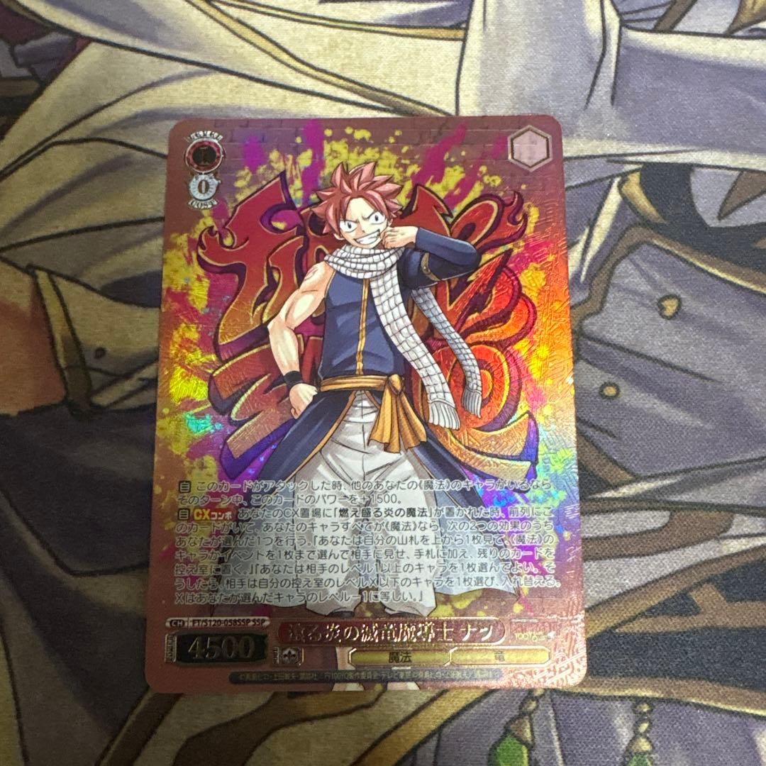 フェアリーテイル SSP 滾る炎の滅竜魔導士 ナツ