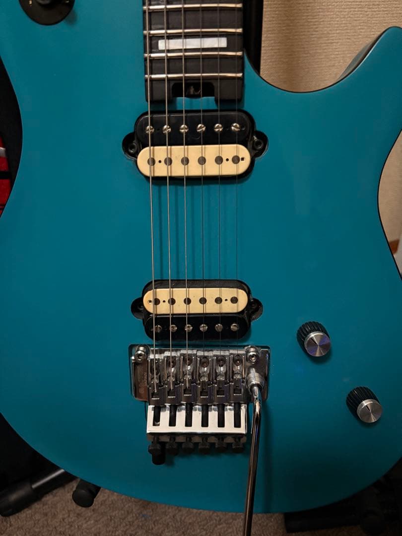 EVH Wolfgang Special /ベアナックルピックアップ/ミュール Bare