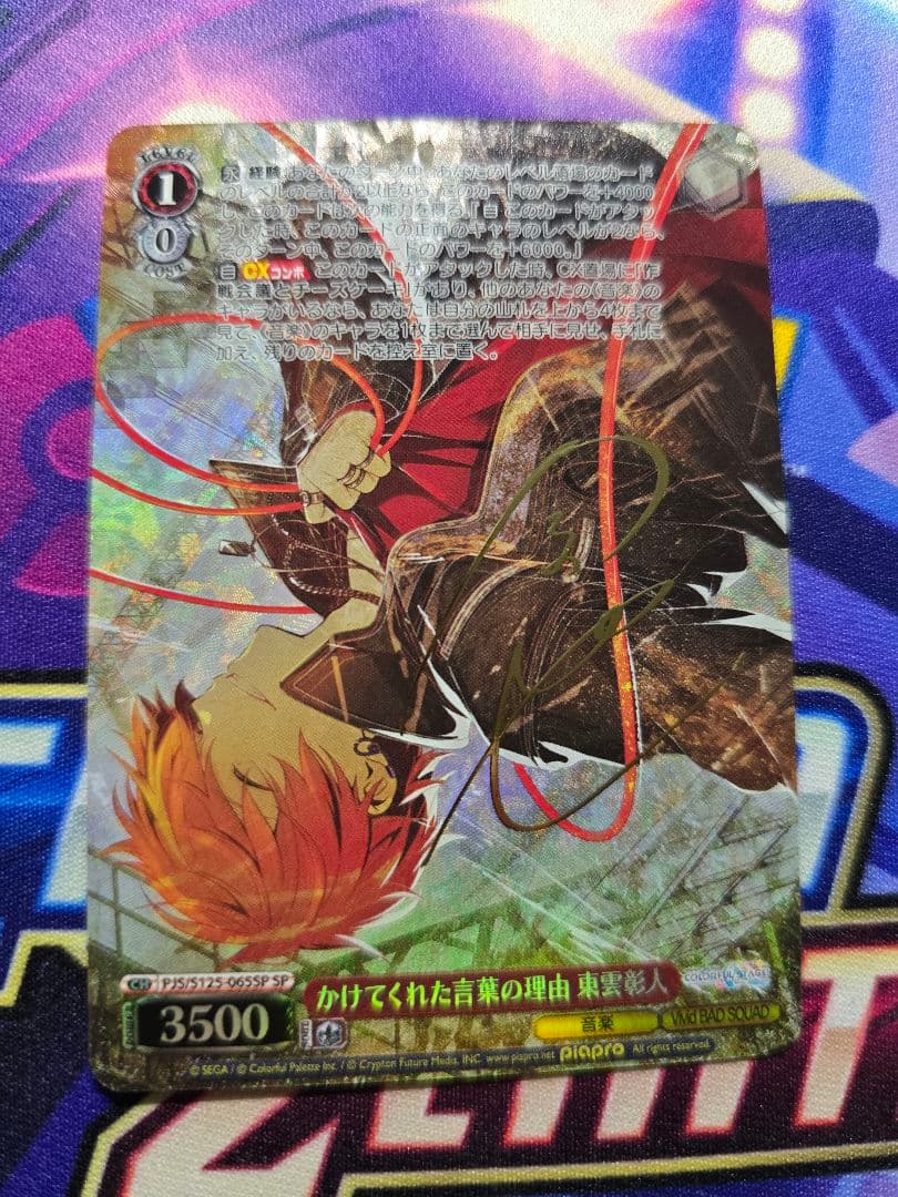 ぴんぴさん専用　かけてくれた言葉の理由 　東雲彰人 SP