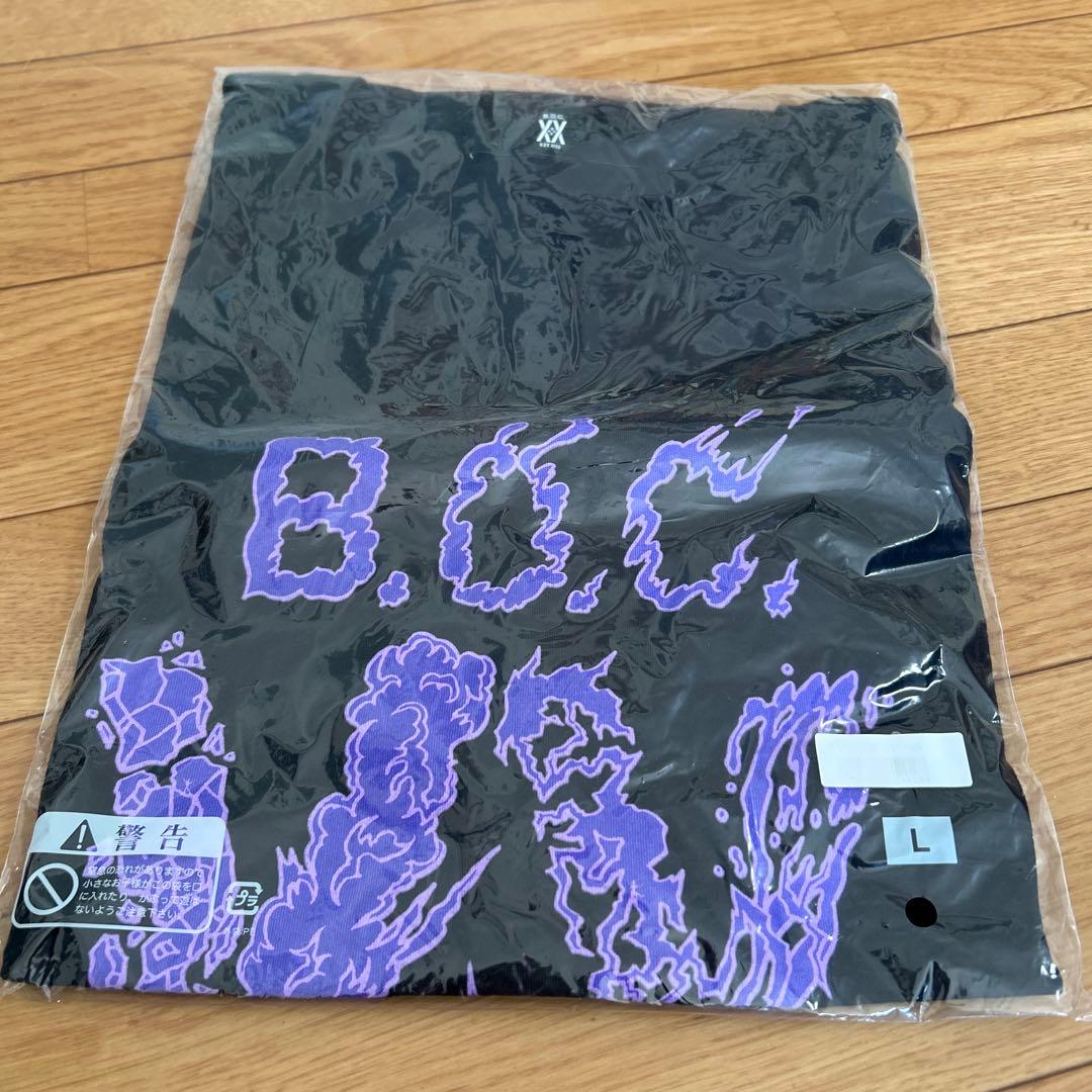 B.O.C. 夏フェス　20周年　Tシャツ L BUMP OF CHICKEN