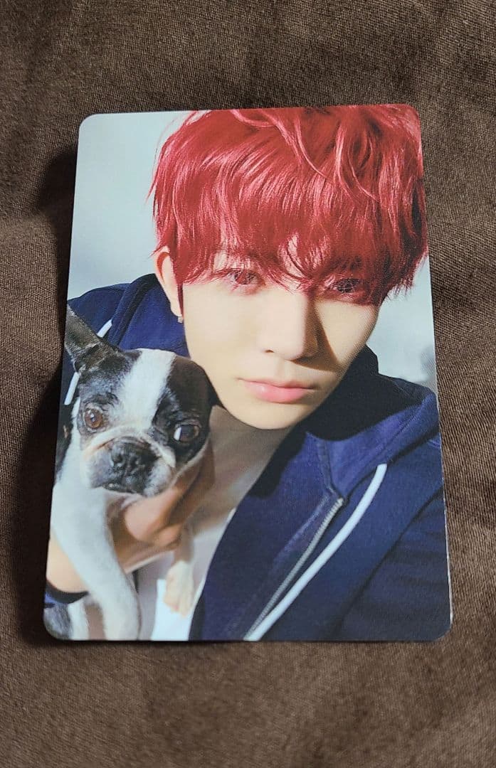 ZB1 ゴヌク SUPERSTAR Christmas Bear 韓国 トレカ