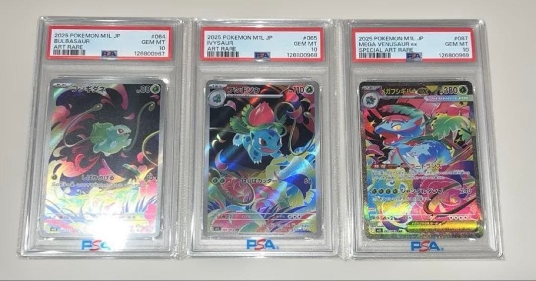 PSA10】メガフシギバナex フシギダネ フシギソウ【3連番】