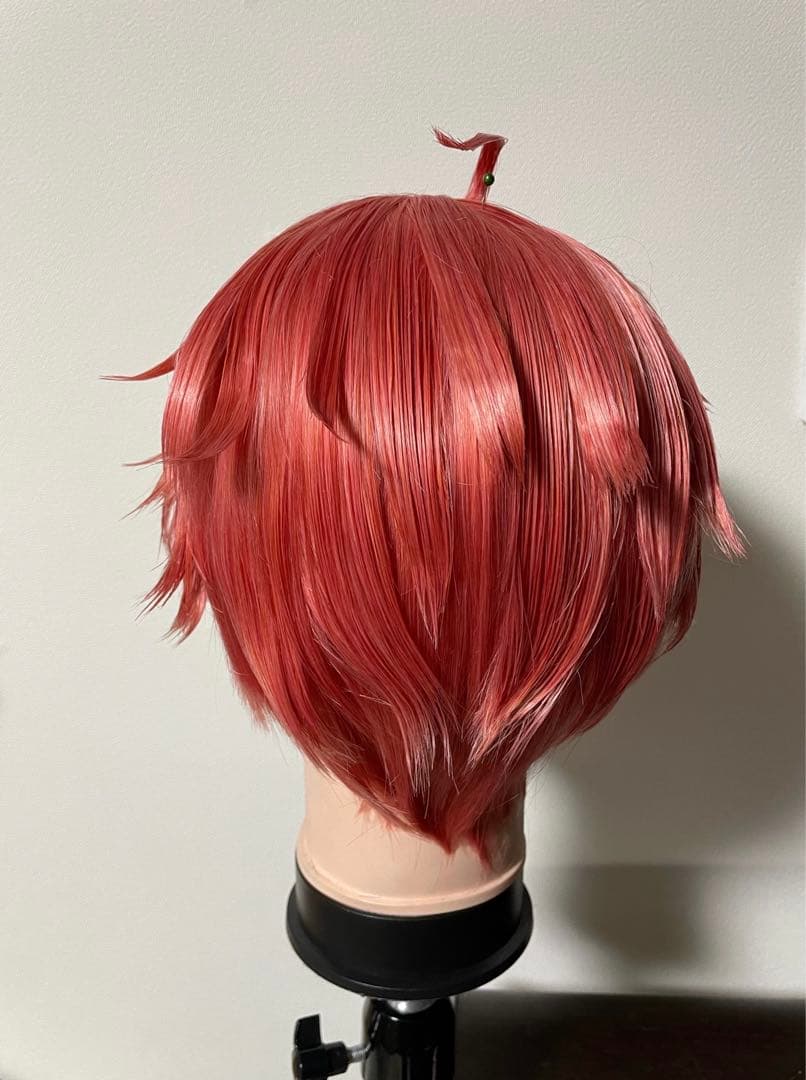にじさんじ 赤城ウェン ウィッグ - メルカリ