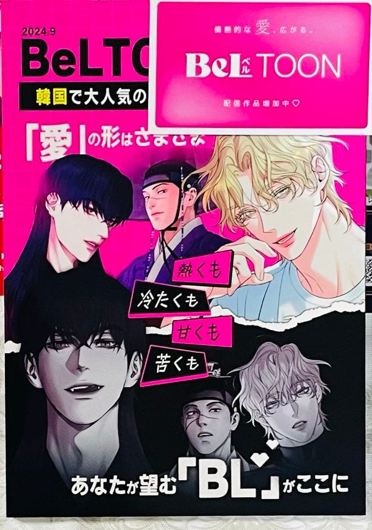 韓国 BL Beltoon イラストブック 夜画帳 ハニートラブル j庭 ②