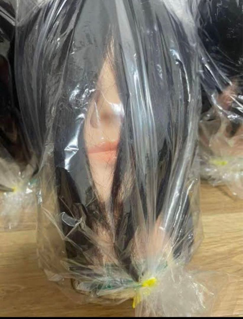 オカセン 国家試験練習用カットウィッグ　3体入り