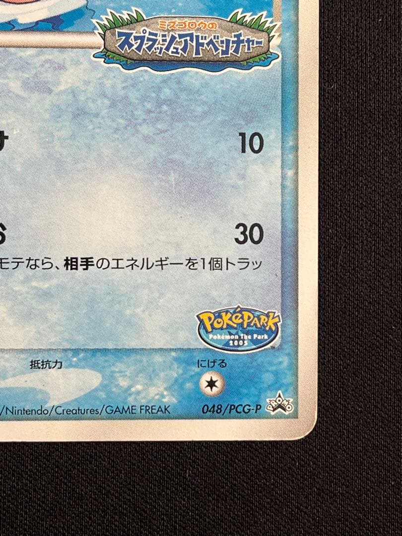 ポケパークのミズゴロウ - メルカリ