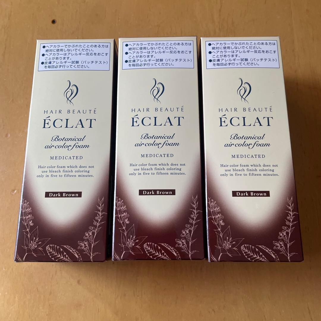 ÉCLAT ボタニカルエアカラーフォーム 3個セット ダークブラウン
