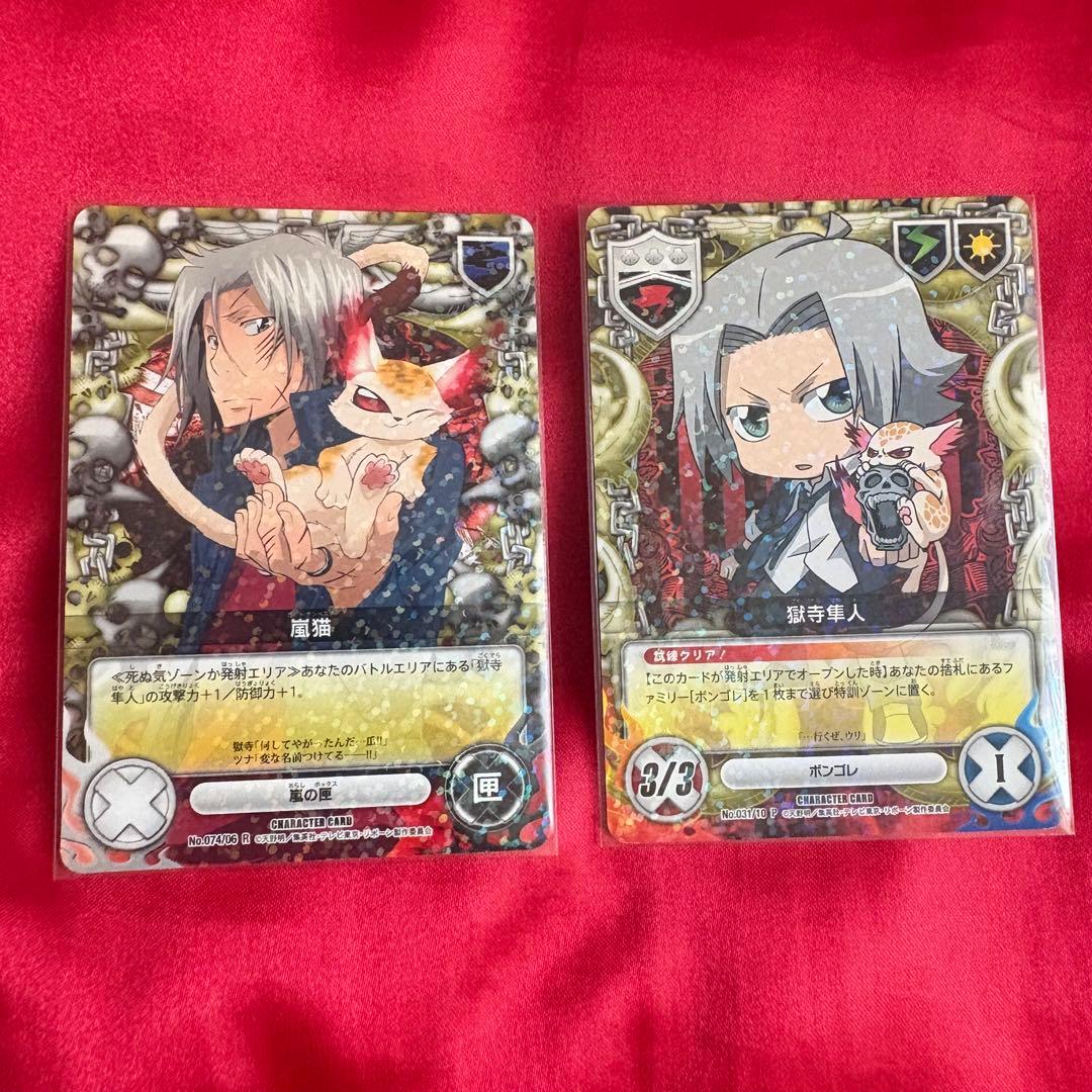 家庭教師ヒットマンREBORN！ 獄寺隼人 CCG キラホロ R レア Pカード