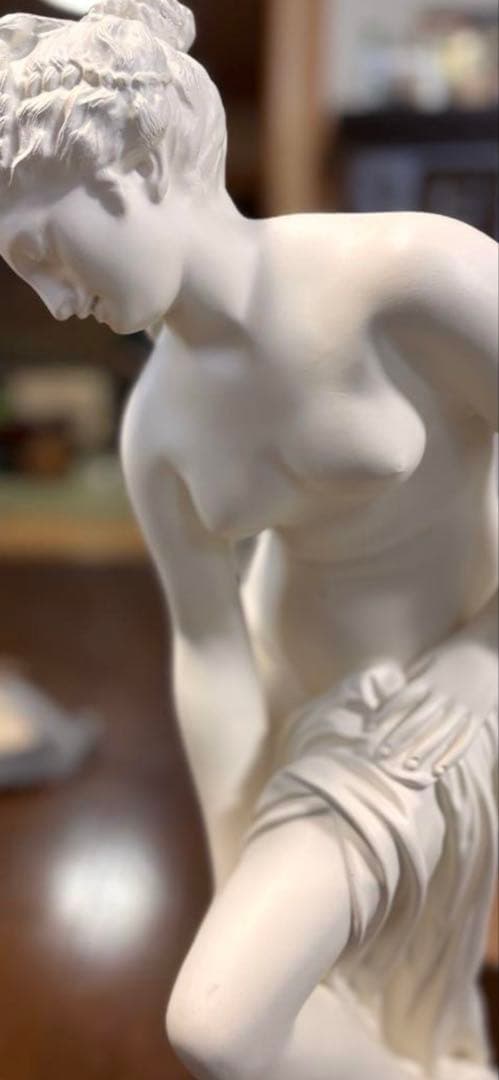 石膏像 湯浴みするヴィーナス 約62cm - メルカリ