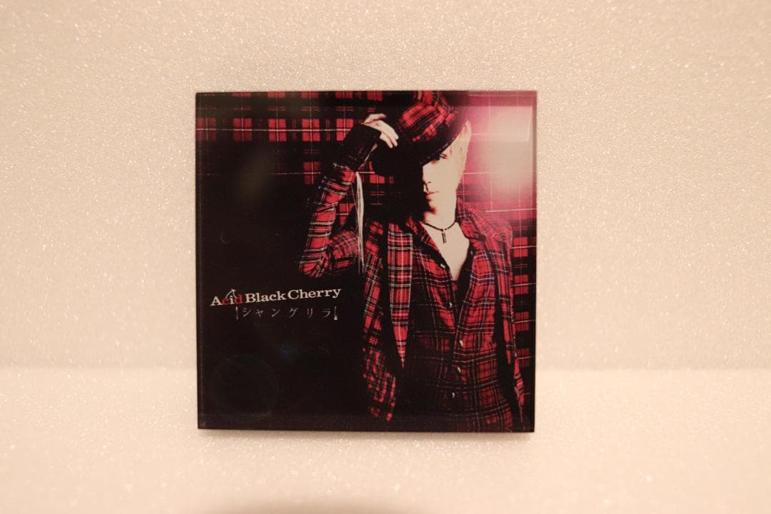 Acid Black Cherry アクリルマグネットB シークレット