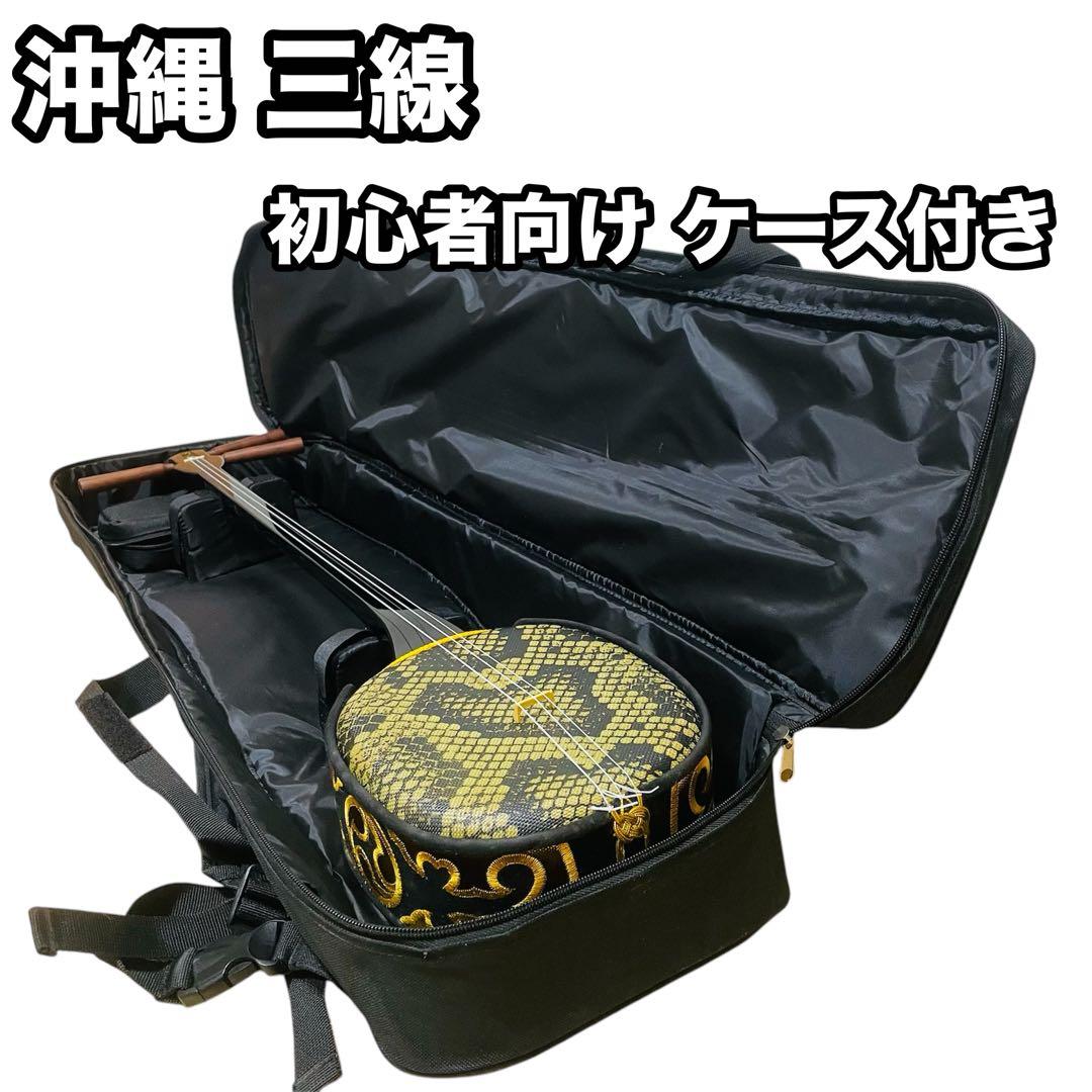 【未使用】沖縄 三線 初心者向け 入門 人工皮 ケース付き