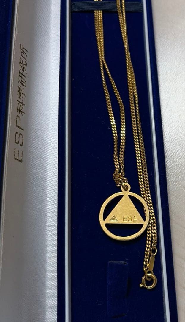 ESP科学研究所 ゴールド 三角形ペンダント ネックレス - メルカリ