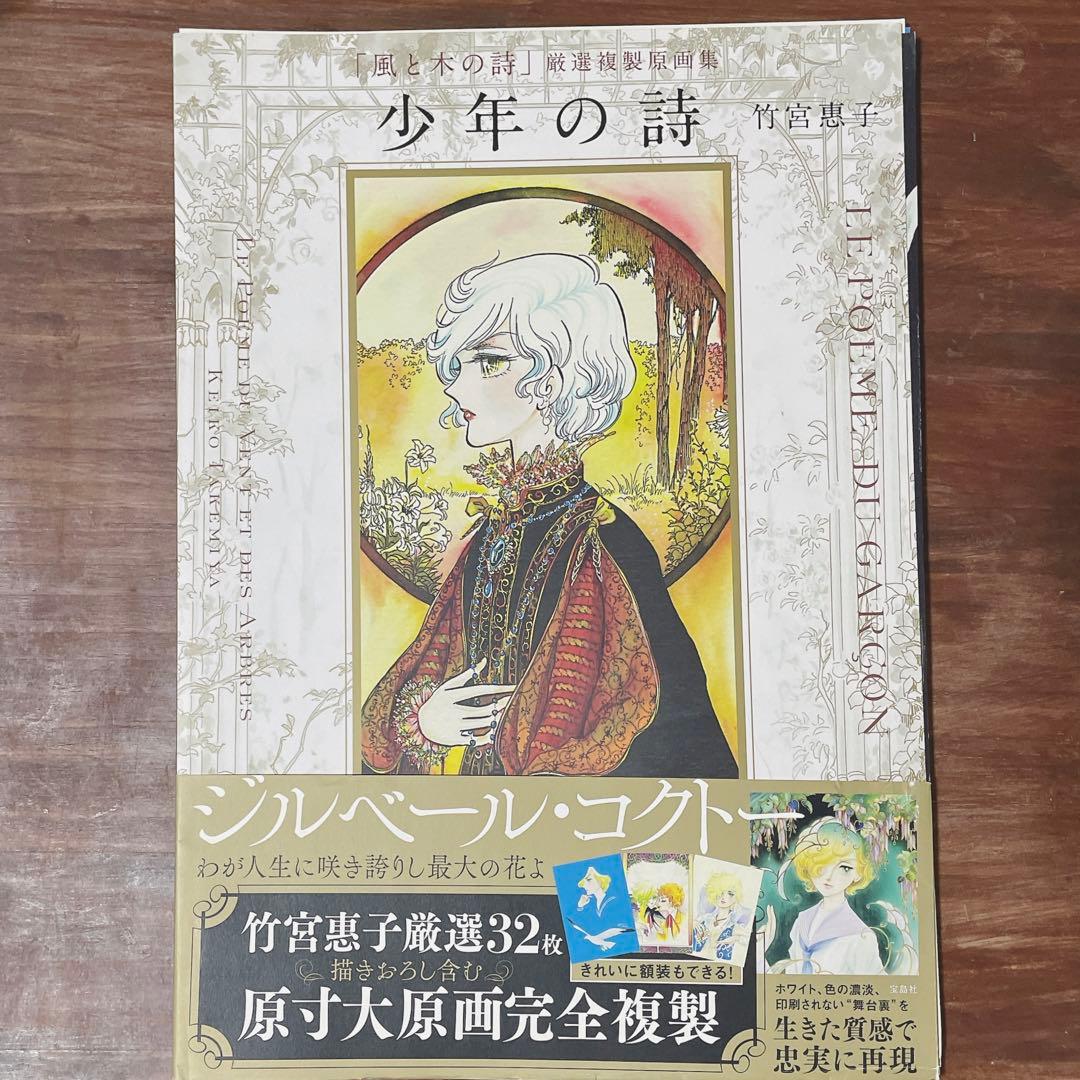 ジルベール 竹宮恵子 画集 少年の詩 風と木の詩 2枚欠品 帯付き - メルカリ
