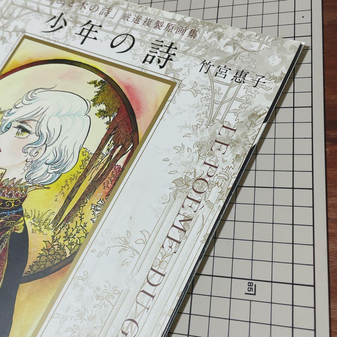 ジルベール 竹宮恵子 画集 少年の詩 風と木の詩 2枚欠品 帯付き - メルカリ