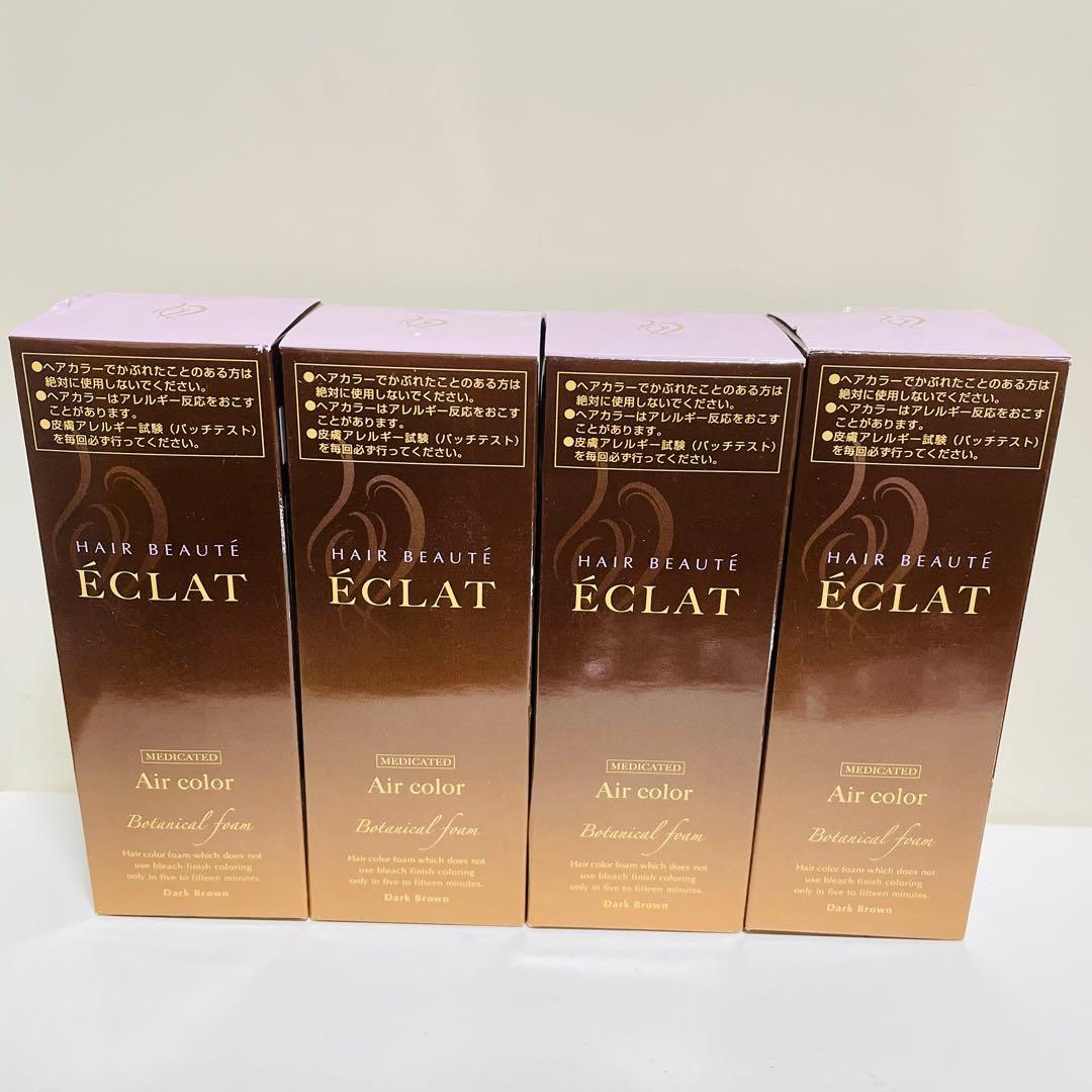 ヘアボーテ エクラ エアカラー ダークブラウン 80g 4個セット 大容量 ヘアボーテエクラ ボタニカル エアカラーフォーム EX ダーク