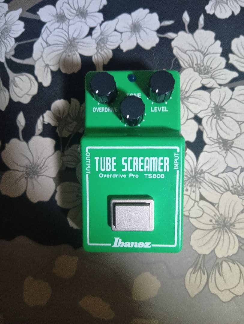 ギター Ibanez TS808 CULT MOD