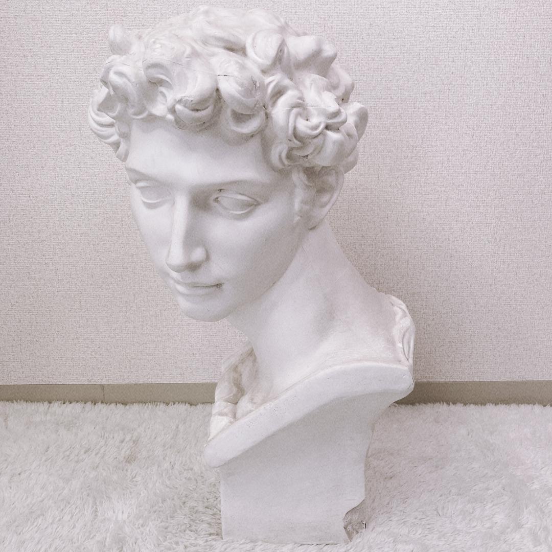 石膏像 メディチ 胸像 ダビデ像 古代ギリシャ ミケランジェロ デッサン
