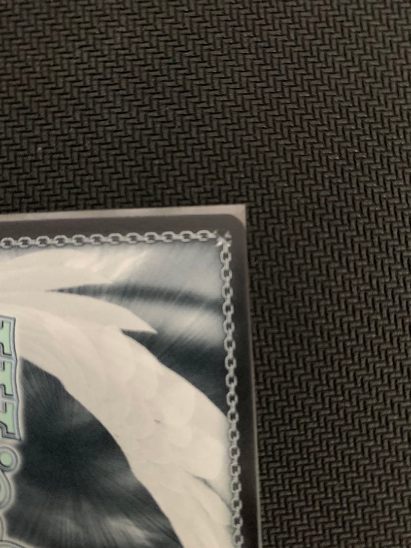 ヴァイス 電撃文庫 第四真祖と監視役 SP