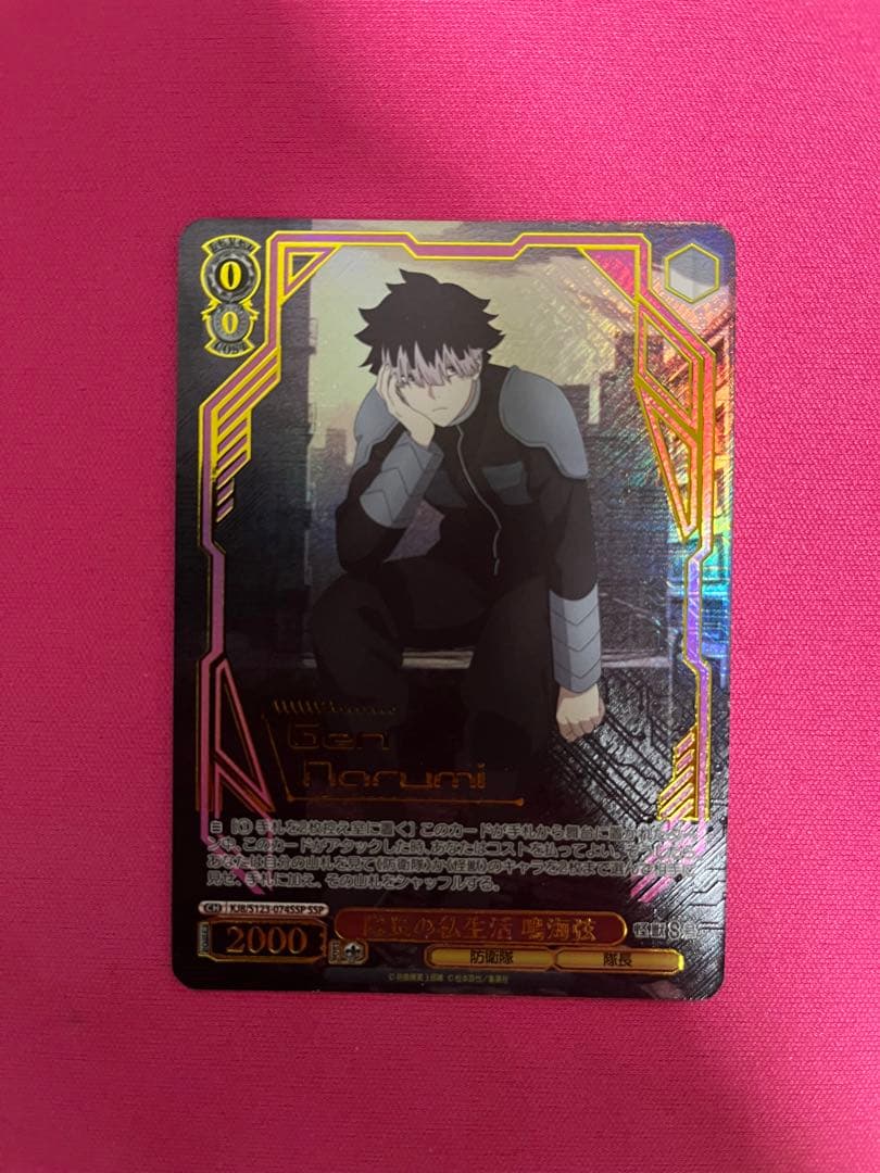 ヴァイスシュヴァルツ　怪獣8号 隊長の私生活 鳴海弦 SSP