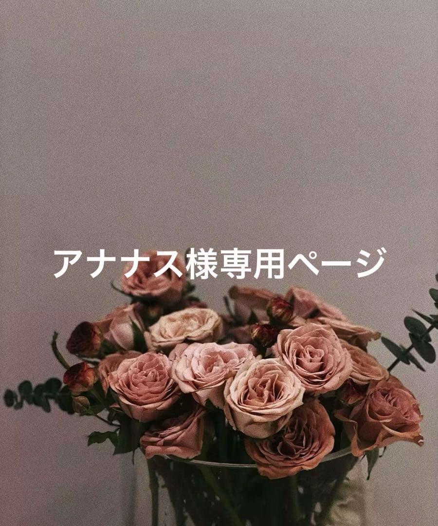 アナナスページ