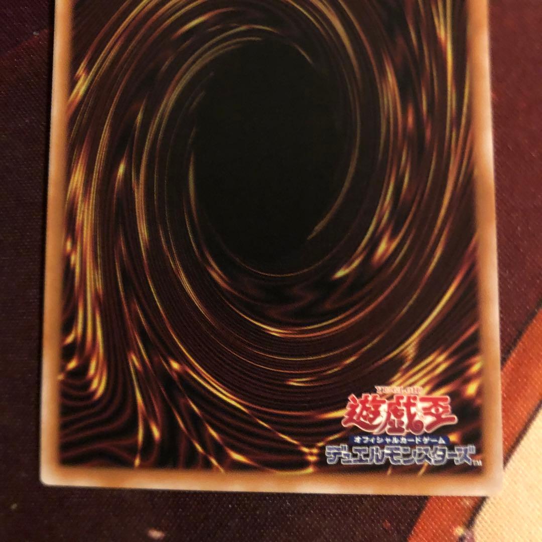 凍てし心が映す神影　　レヴシャドールフュージョン　プリシク