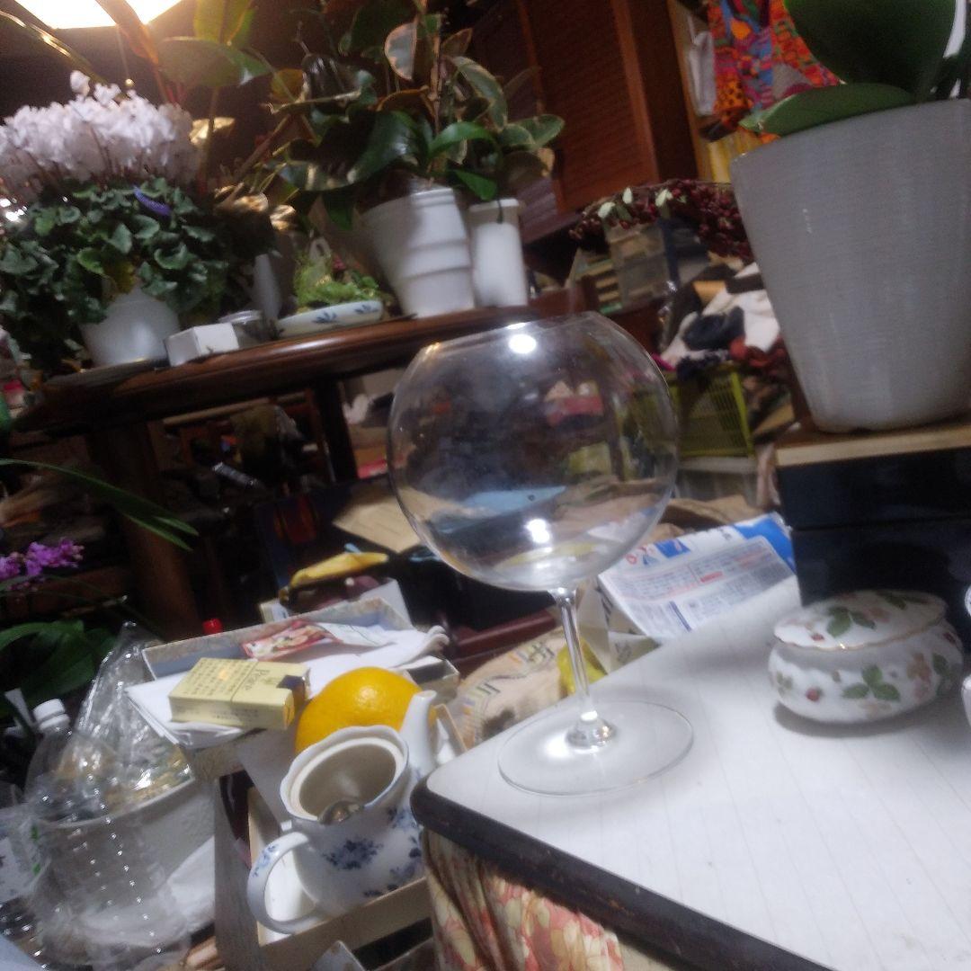 バカラ　グラス　TestingGlass スウィング ハイボール | バカラ 日本