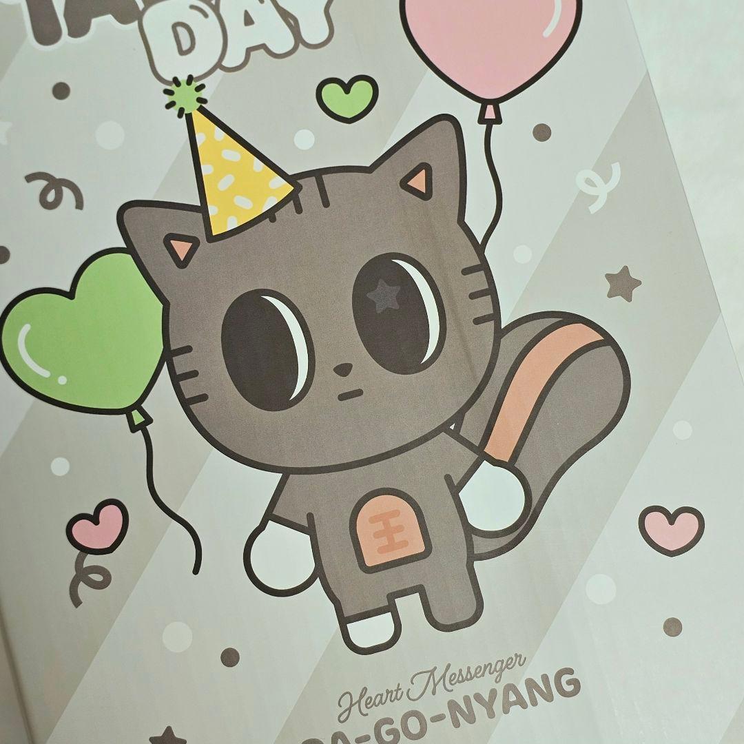 TXT テヒョン》ダゴニャン センイル ぬいぐるみ ☆外箱に初期難あり