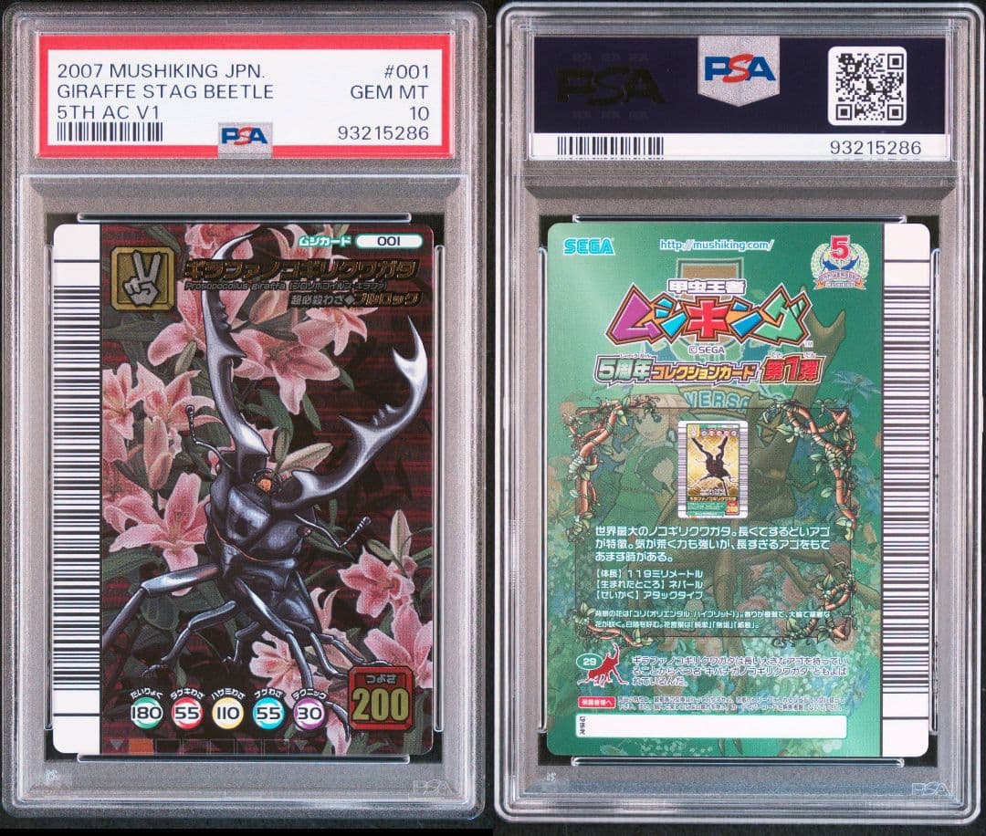 ムシキング 5周年コレクションカード第1弾 ギラファノコギリクワガタ