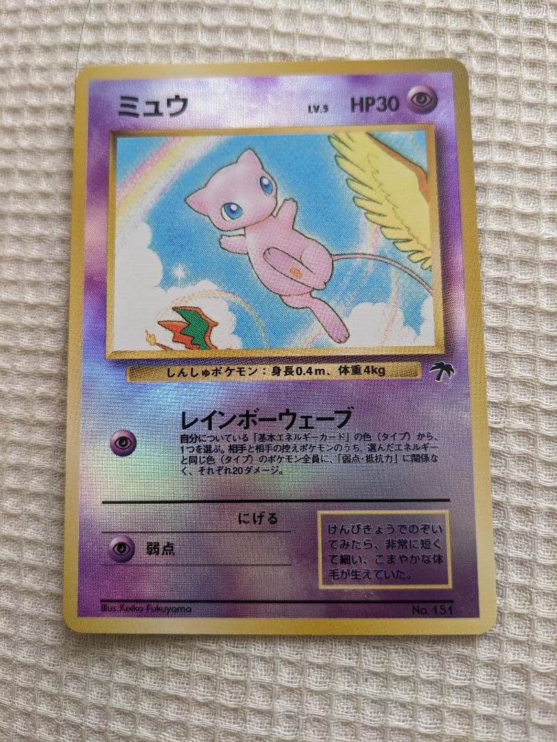 ポケモンカード サザンアイランド【旧裏】【開封済み未使用】