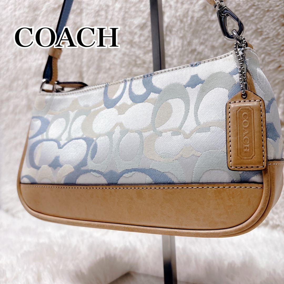 COACH コーチ アクセサリーポーチ シグネチャー キャンバス マルチカラー