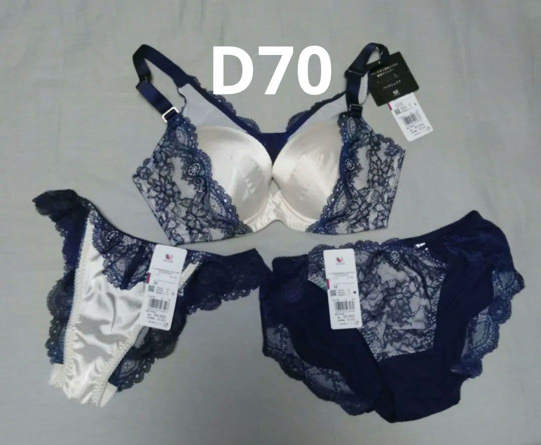 姿勢整い着心地楽/ワコール D70 ブラジャーショーツセット ネイビー