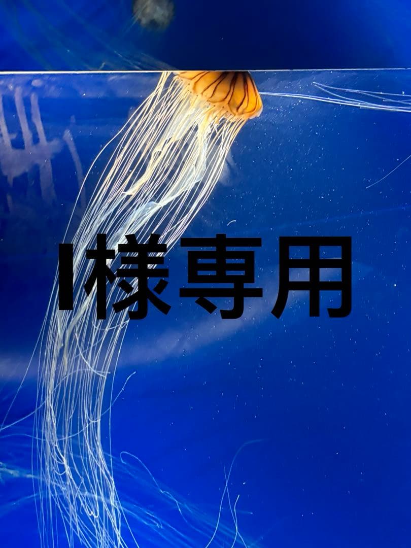 トライアルセット・サンプル I