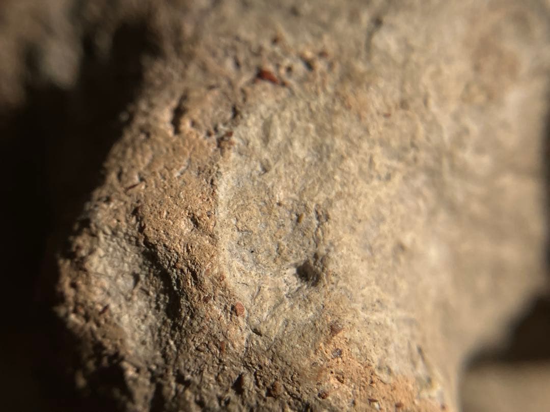 美しい、、古代中国の羊像 新石器時代後期頃 前3000～2000年】骨董