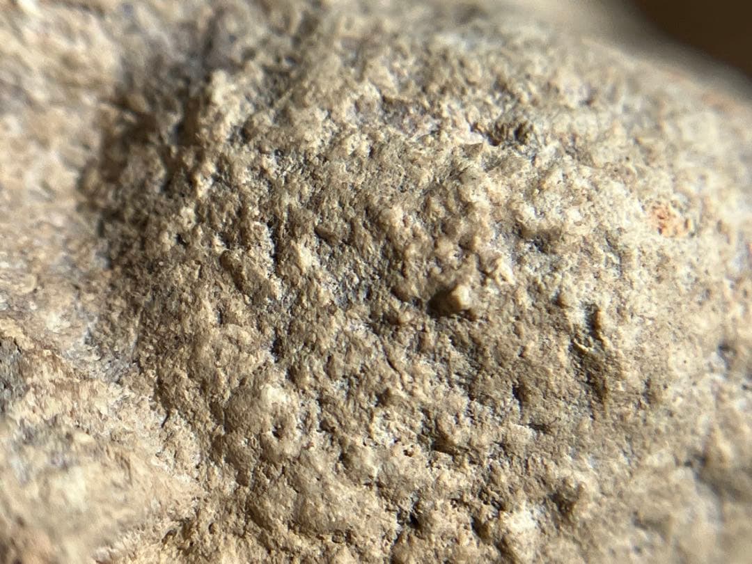 美しい、、古代中国の羊像 新石器時代後期頃 前3000～2000年】骨董