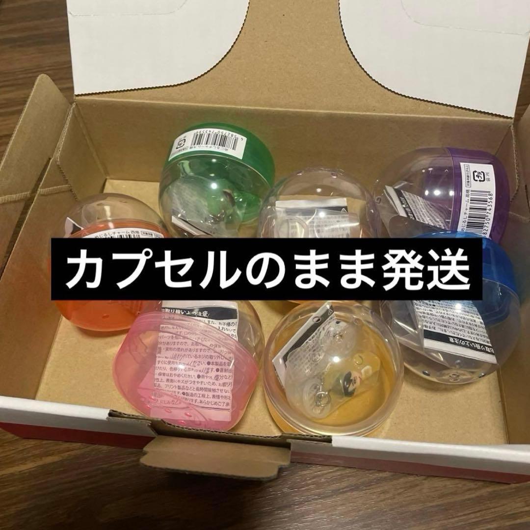 コンプ　なにわ男子のめじるしチャーム　2026 VoyAGE 1stDOME Amazon.co.jp: なにわ男子 【 西畑大吾 めじるしチャーム （本体のみ