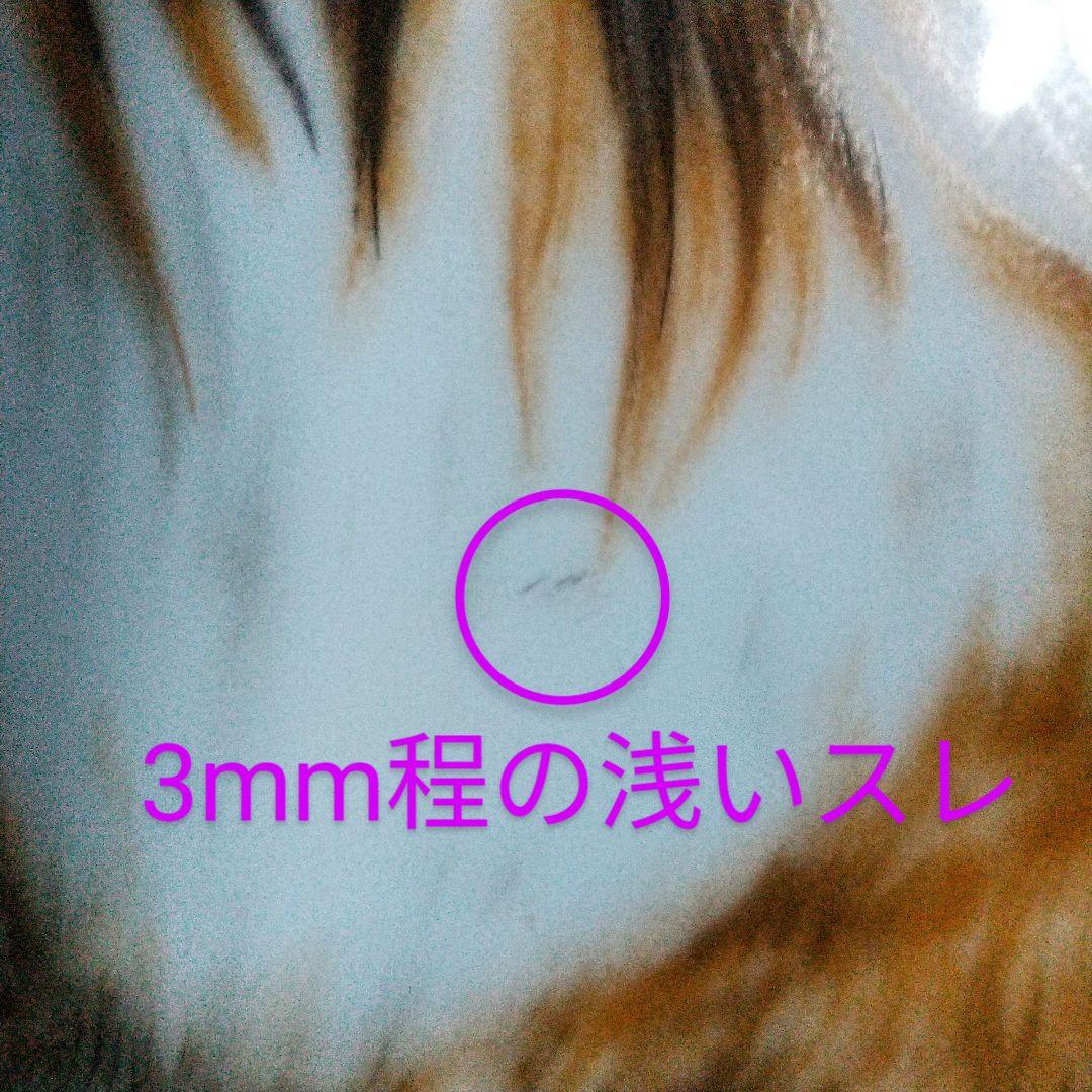 1950年代◇プレミアノリタケ◇プレート コリー犬 ハンドペイント