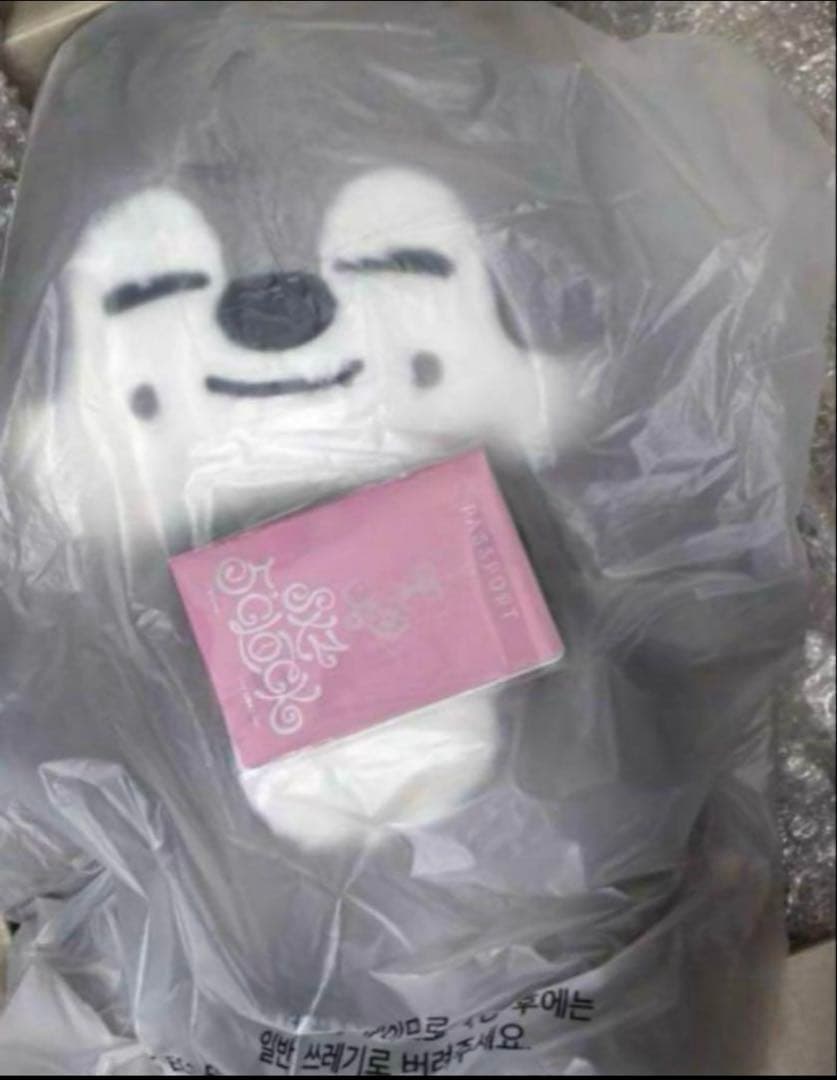 straykids スキズ テディベア SKZOO ウルフチャン teddy - メルカリ