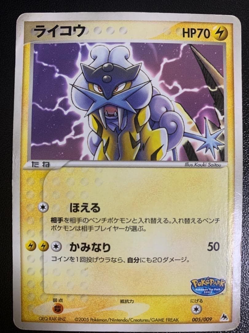 ライコウ　005/009　ポケパーク　プレミアムファイル　ブルーシート　PCG