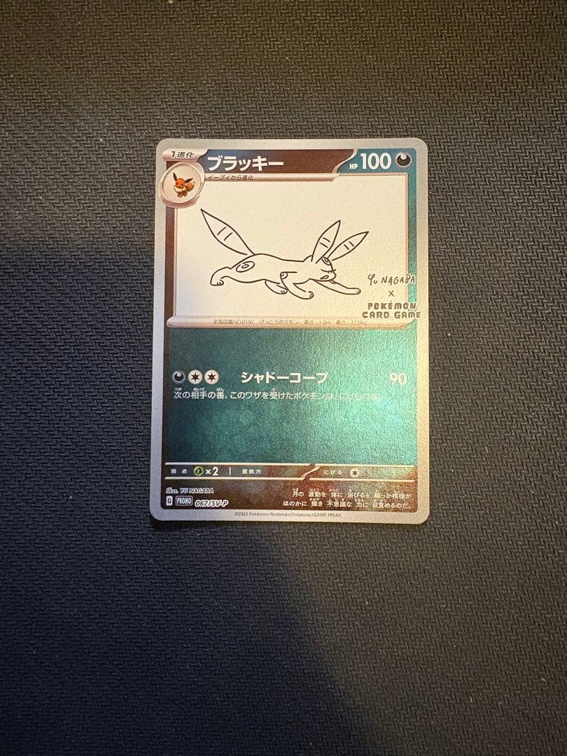 ミ*チ様 ブラッキー　yunagaba 1枚