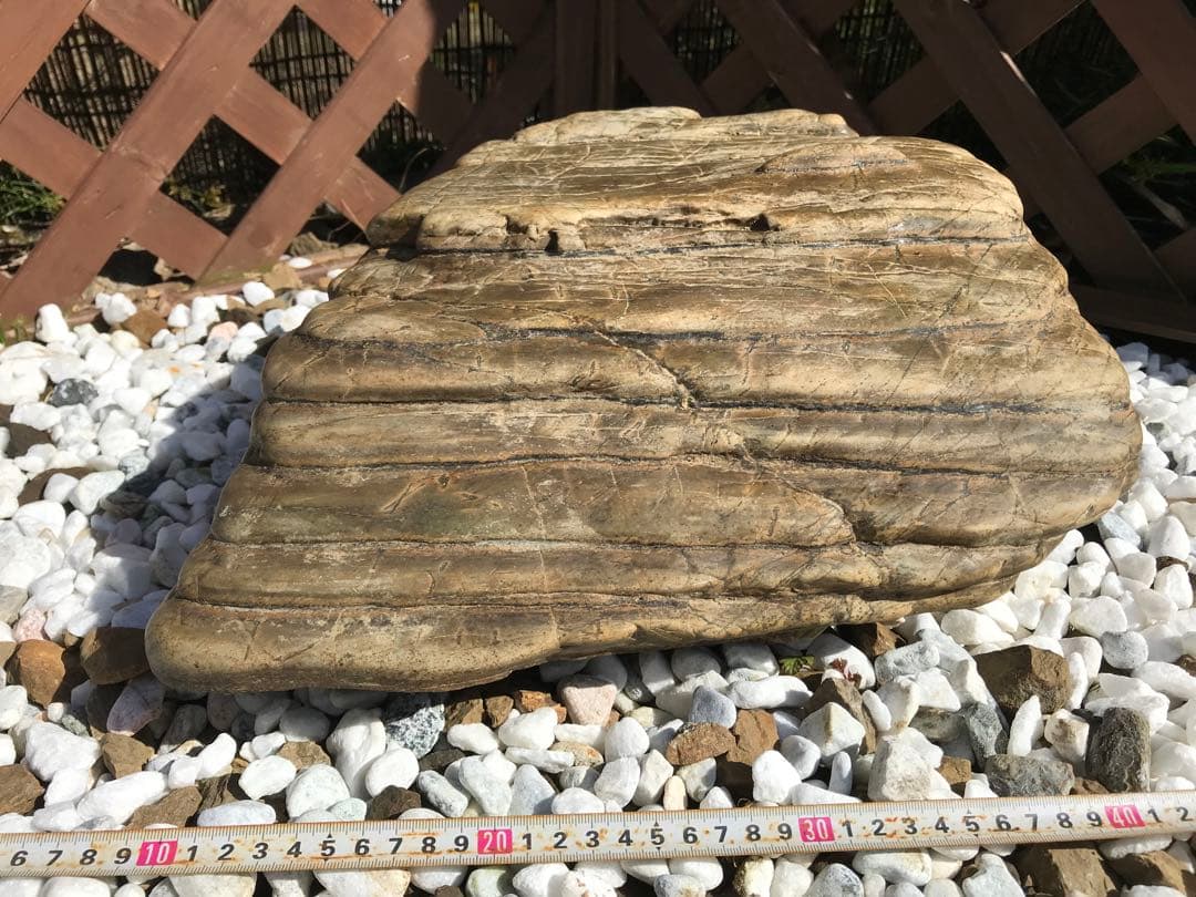 【TOなかい】瀬田川石『虎石』