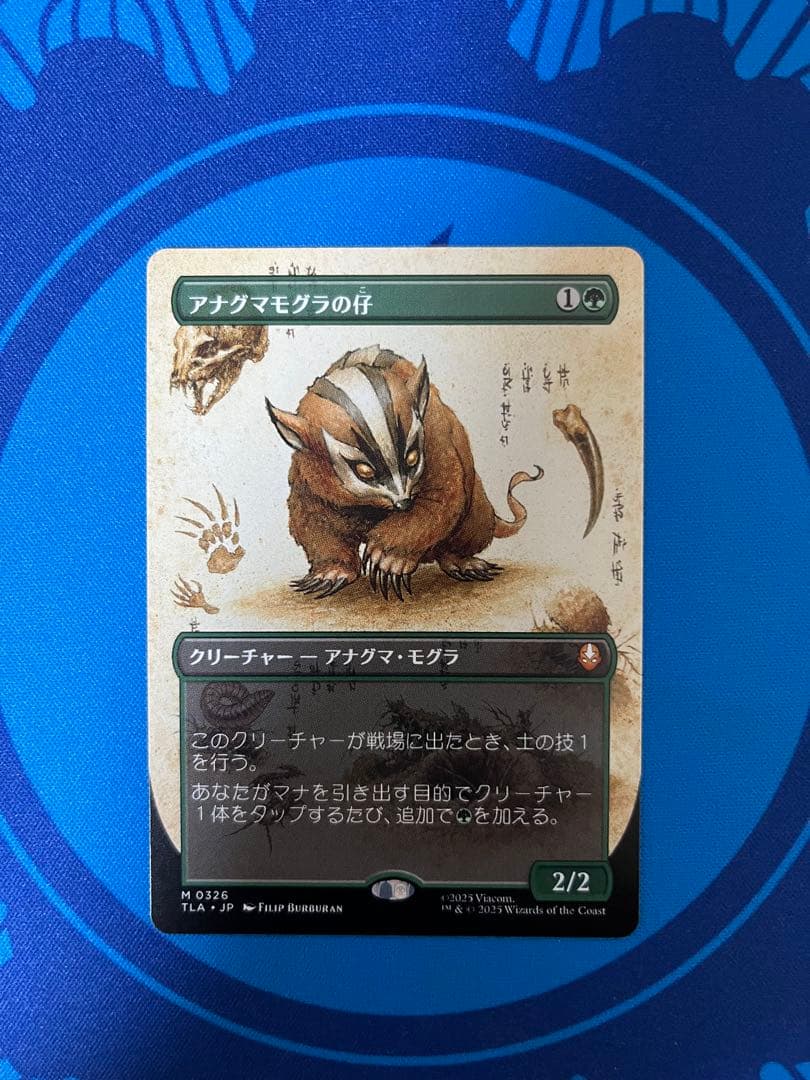 MTG アナグマモグラの仔 ボーダーレス版 日本語版 FOIL] アナグマモグラの仔/Badgermole Cub 【日本語版】 [TLA-緑MR
