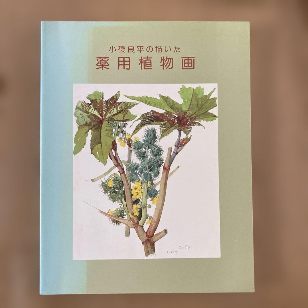 小磯良平の描いた薬用植物画 の本 - メルカリ