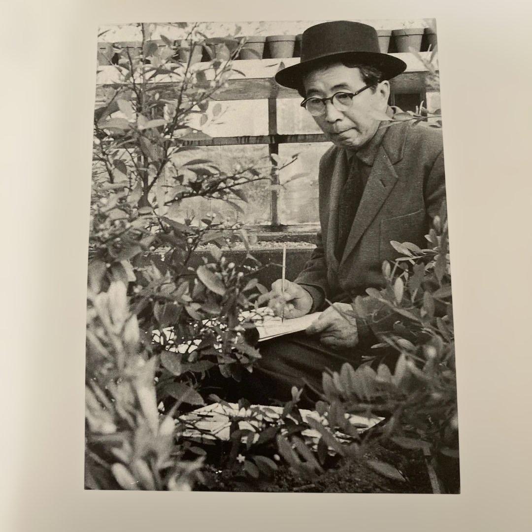 小磯良平の描いた薬用植物画 の本 - メルカリ