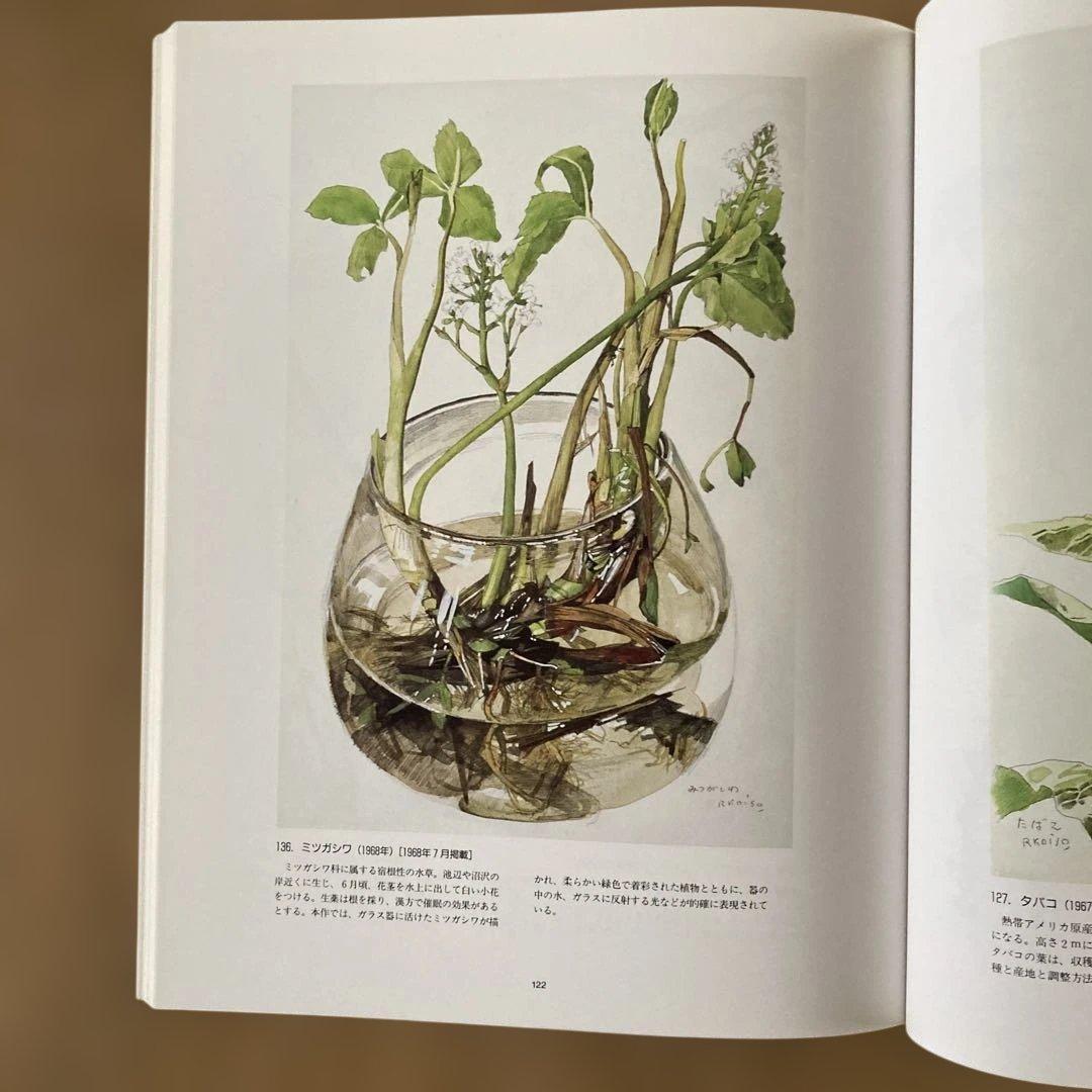 小磯良平の描いた薬用植物画 の本 - メルカリ