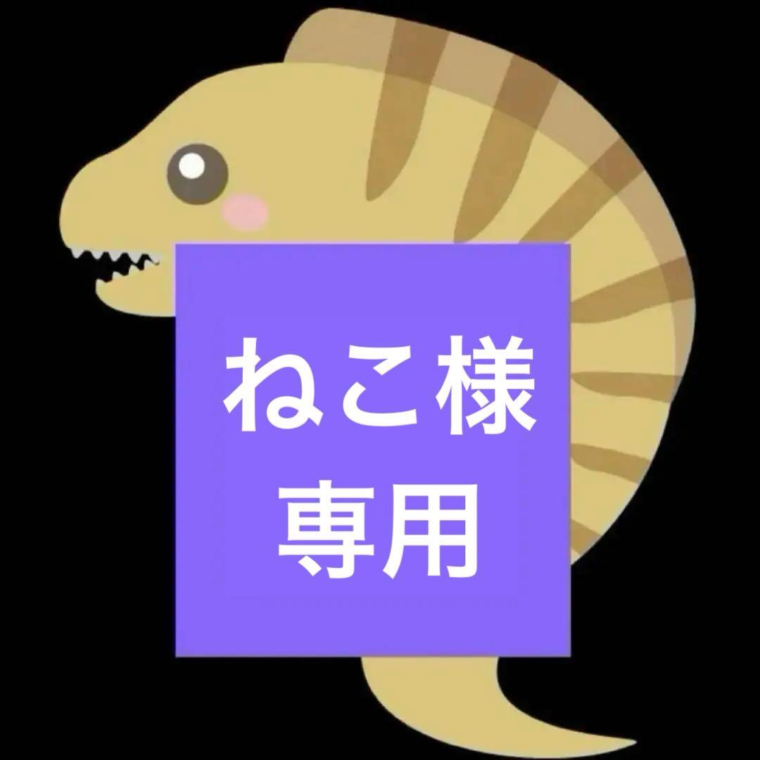 ねこ　アースラ 人間　ヴァネッサ　風　ウィッグ