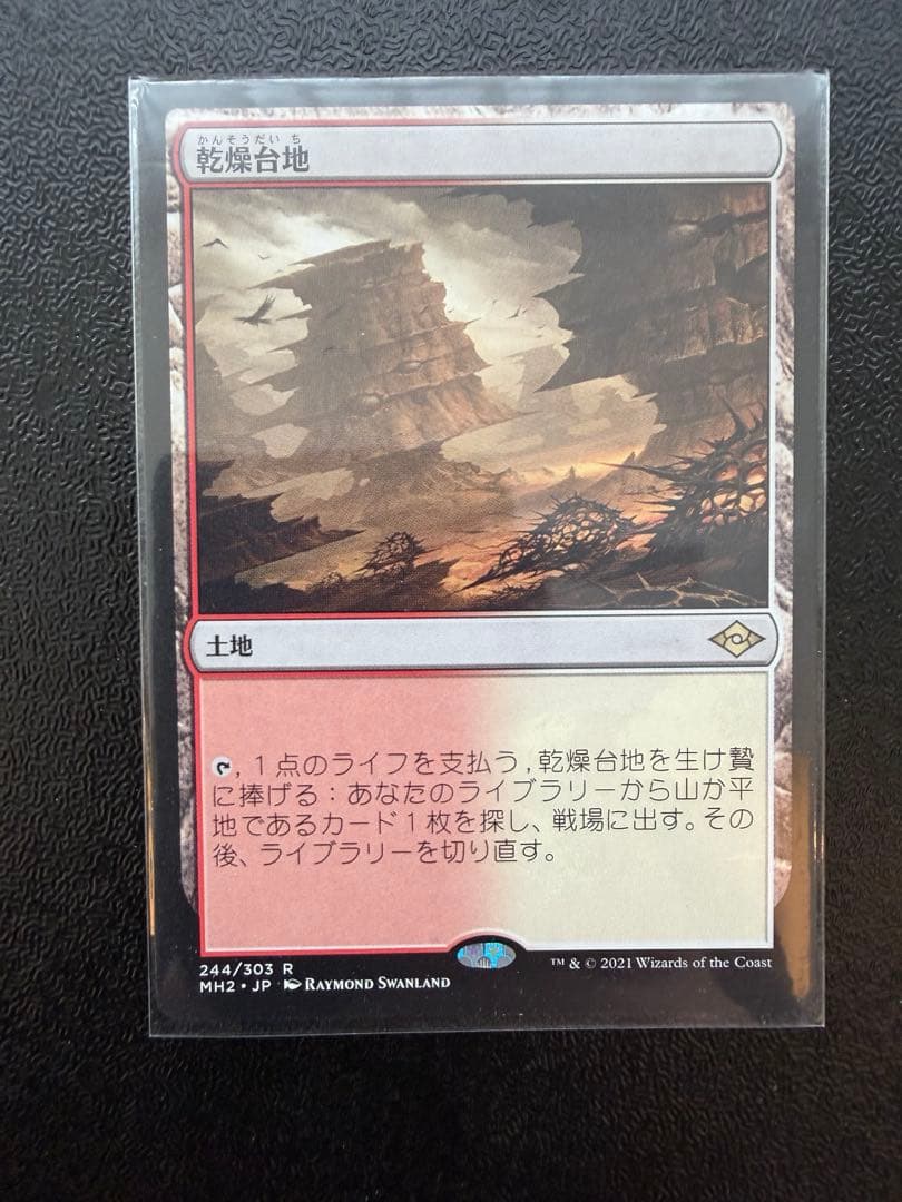 MTG 乾燥台地/Arid Mesa 日 1枚 - メルカリ