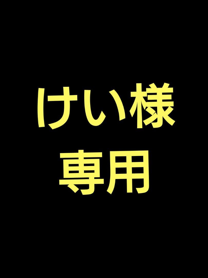 けい オーダー品